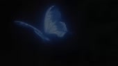 10061