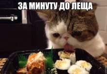59