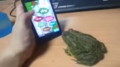 1344