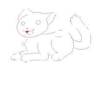 17