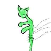 60