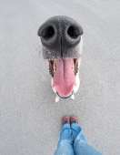 172