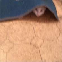 191