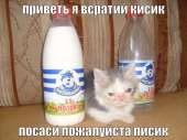 181