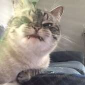 72