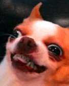 159