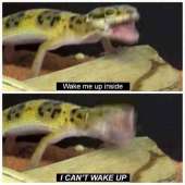 67