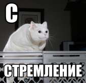 145