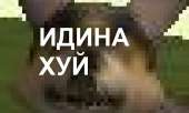 44