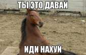 47