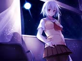4905