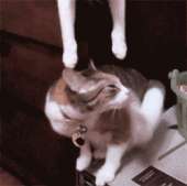 1332