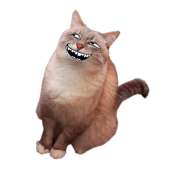 234