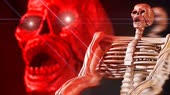 2927