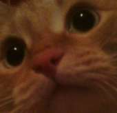 333