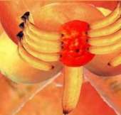 56