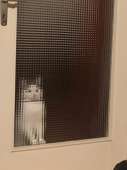 220