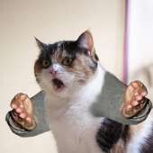 114