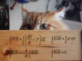 665