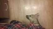 1505