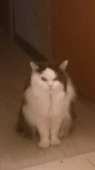972
