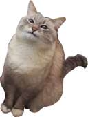 103