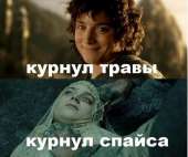 65