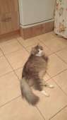167