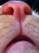 63