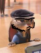 729