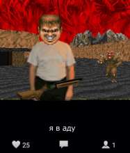 43