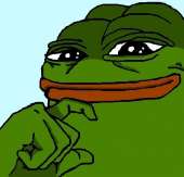 41