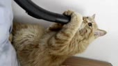 3819