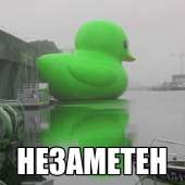 44