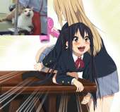 321