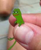 42