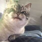 120