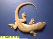 3250