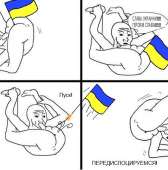 53