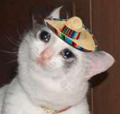 45