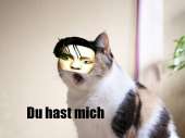 59