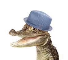 159