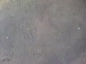5133