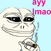 43