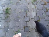 9728