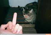 65