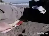 3791