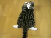 9329
