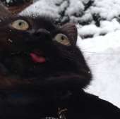 44