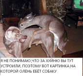 173
